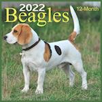 Beagles Calendar 2022