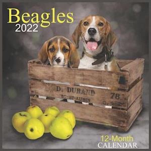 Calendar 2022 Beagles 12-Month