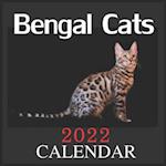 CALENDAR 2022 Bengal Cats