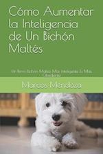 Cómo Aumentar la Inteligencia de Un Bichón Maltés