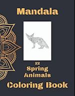 Mandala Spring Animals Coloring Book: Coloring Book with Cute Animals and Fun for Relaxation 