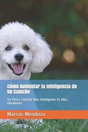 Cómo Aumentar la Inteligencia de Un Caniche