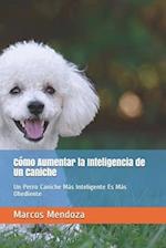 Cómo Aumentar la Inteligencia de Un Caniche