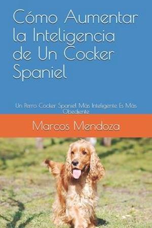 Cómo Aumentar la Inteligencia de Un Cocker Spaniel