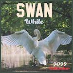 White Swan CALENDAR 2022