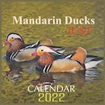 Just Mandarin Ducks Calendar 2022: Official Ducks Calendar 2022,12 Months Calendar, Wild Animals ,Square Calendar 2022 