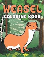 Weasel Coloring Book: A Wonderful coloring books with nature,Fun, Beautiful To draw kids activity 