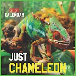 Just CHAMELEON CALENDAR 2022: Official Chameleons Calendar 2022 ,12 Months ,Square Calendar 2022