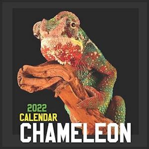 CHAMELEON CALENDAR 2022: Official Chameleons Calendar 2022 ,12 Months ,Square Calendar 2022