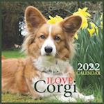 Ilove Corgi CALENDAR 2022