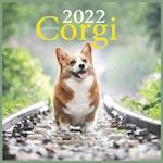 Corgi CALENDAR 2022