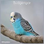 Budgerigar 2022 Calendar: Official Budgerigar Birds Calendar 2022, 16 Month Square Calendar 