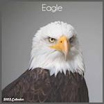 Eagle 2022 Calendar : Official Eagle Bird Calendar 2022, 16 Month Square Calendar 