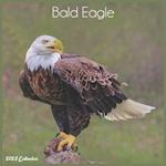 Bald Eagle 2022 Calendar : Official Eagle Birds Calendar 2022, 16 Month Square Calendar 
