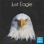 Just Eagle 2022 Calendar: Official Eagle Birds Calendar 2022, 16 Month Square Calendar 