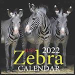 JUST Zebra CALENDAR 2022