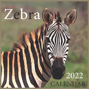 Zebra CALENDAR 2022