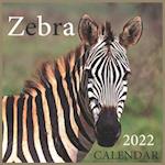 Zebra CALENDAR 2022