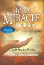 It's A Miracle book one: God's Amazing Miracles 