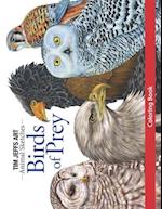 Birds of Prey Coloring Book 