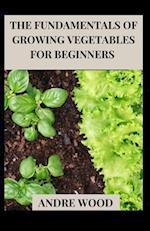 The Fundamentals Of Growing Vegetables For Beginners 