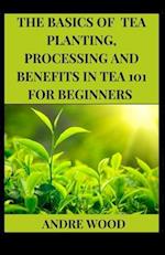 The Basics Of Tea Planting, Processing And Benefit In Tea 101 For Beginners 