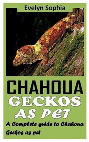 CHAHOUA GECKOS AS PET: A COMPLETE GUIDE TO CHAHOUA GECKOS AS PET