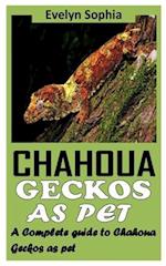 CHAHOUA GECKOS AS PET: A COMPLETE GUIDE TO CHAHOUA GECKOS AS PET 