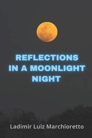 Reflections in a moonlight night