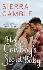 Her Cowboy's Secret Baby: Clean Contemporary Cowboy Romance 