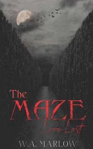 The Maze: Love Lost