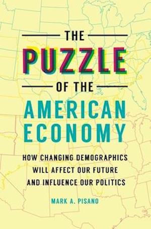 The Puzzle of the American Economy