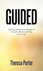 Guided: Life Long Self Awareness Techniques to Raise Your Vibration and Bring You More Joy 