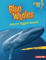 Blue Whales