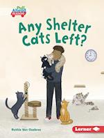 Any Shelter Cats Left?