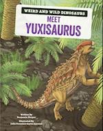 Meet Yuxisaurus