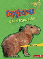 Capybaras