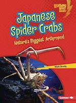 Japanese Spider Crabs