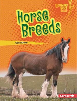 Horse Breeds