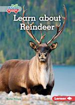 Learn about Reindeer