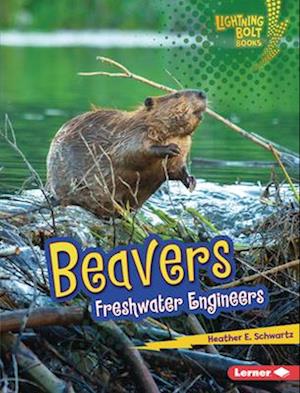 Beavers