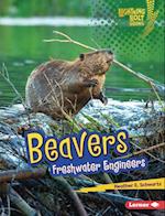 Beavers