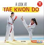 A Look at Tae Kwon Do