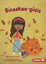 Binaakwe-Giizis (Raking Leaves)