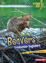 Beavers