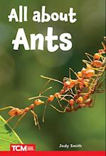 All about Ants