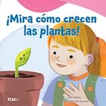 ¡Mira Cómo Crecen Las Plantas!