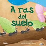 A Ras del Suelo