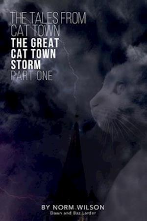 The Tales from Cat Town: The Great Cat Town Storm ( Part 1 )