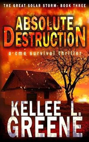 Absolute Destruction - A CME Survival Thriller